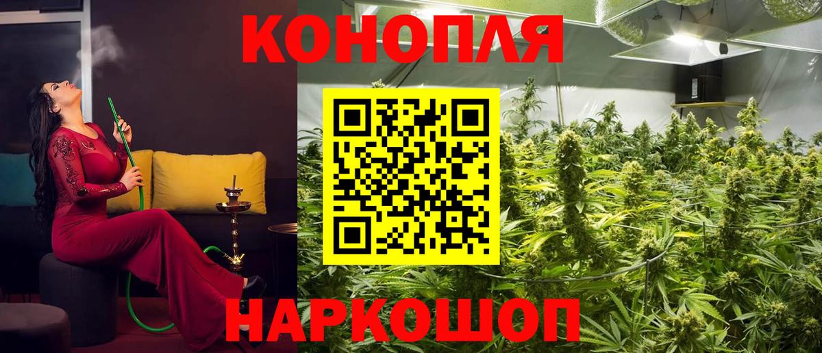 Конопля планчик  Конопля THC 21%  Вход с VPN  Новосибирск 